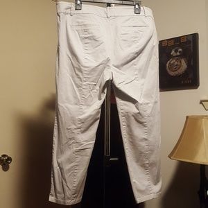 Ann Taylor Dress Pants